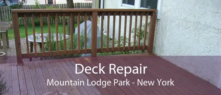 Deck Repair Mountain Lodge Park - New York