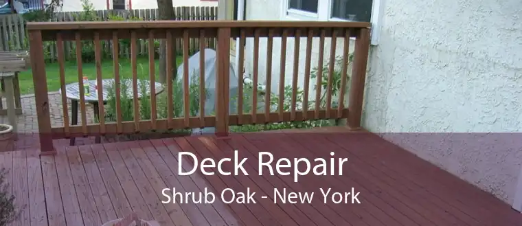 Deck Repair Shrub Oak - New York