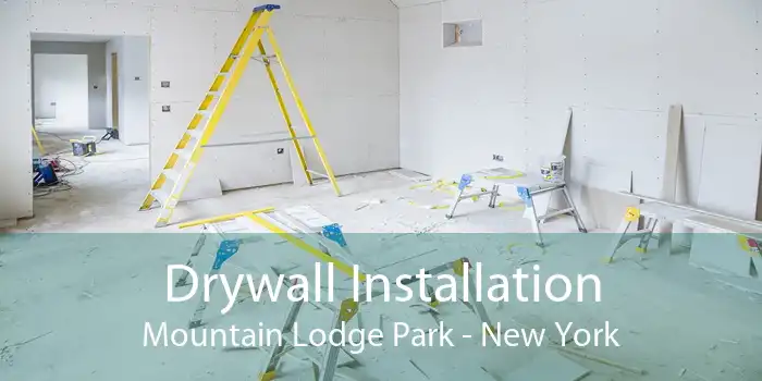 Drywall Installation Mountain Lodge Park - New York