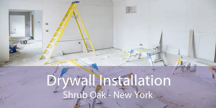 Drywall Installation Shrub Oak - New York