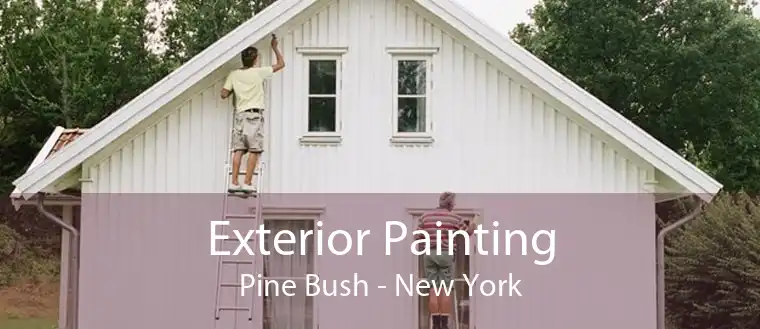 Exterior Painting Pine Bush - New York