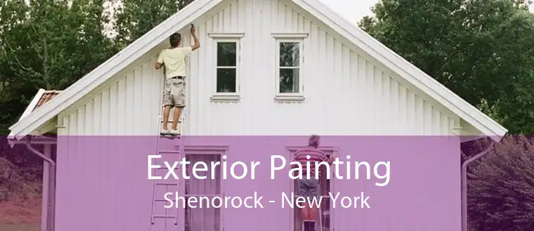 Exterior Painting Shenorock - New York