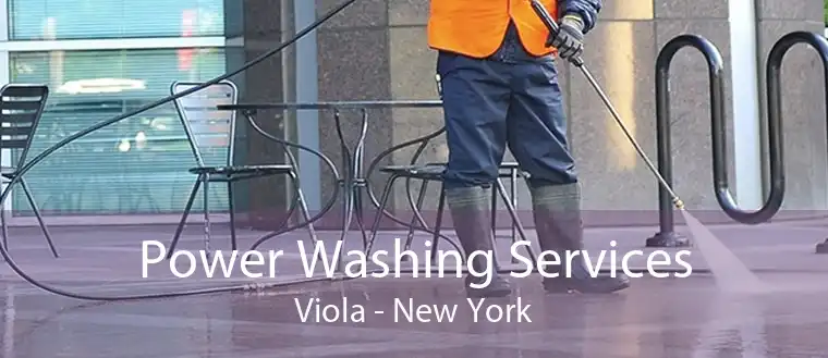 Power Washing Services Viola - New York