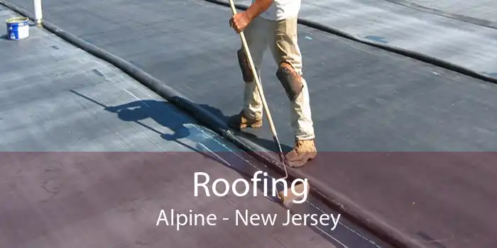 Roofing Alpine - New Jersey