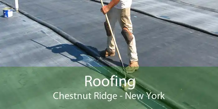 Roofing Chestnut Ridge - New York