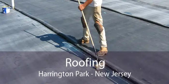 Roofing Harrington Park - New Jersey