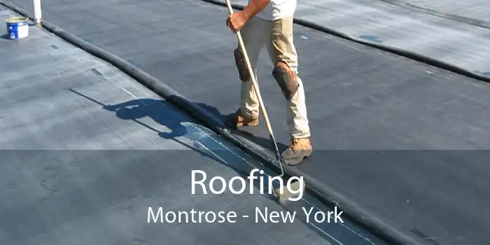 Roofing Montrose - New York