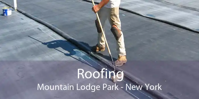 Roofing Mountain Lodge Park - New York