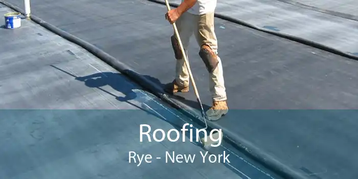 Roofing Rye - New York