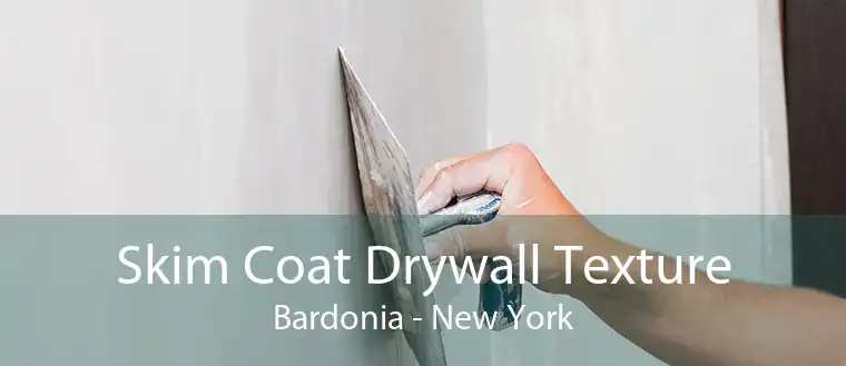Skim Coat Drywall Texture Bardonia - New York