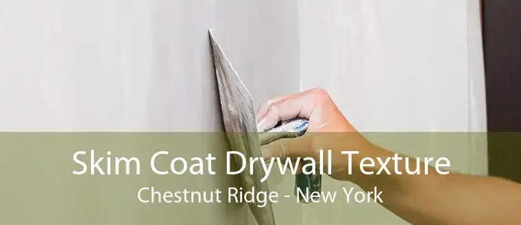Skim Coat Drywall Texture Chestnut Ridge - New York