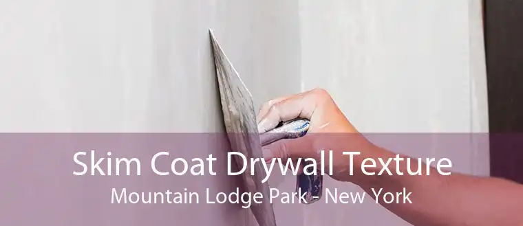 Skim Coat Drywall Texture Mountain Lodge Park - New York