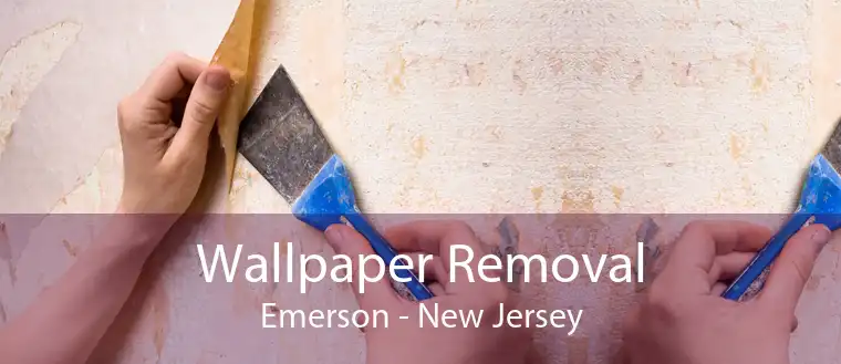 Wallpaper Removal Emerson - New Jersey
