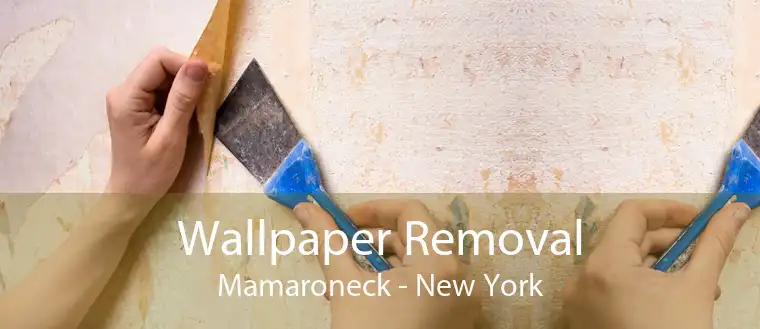 Wallpaper Removal Mamaroneck - New York