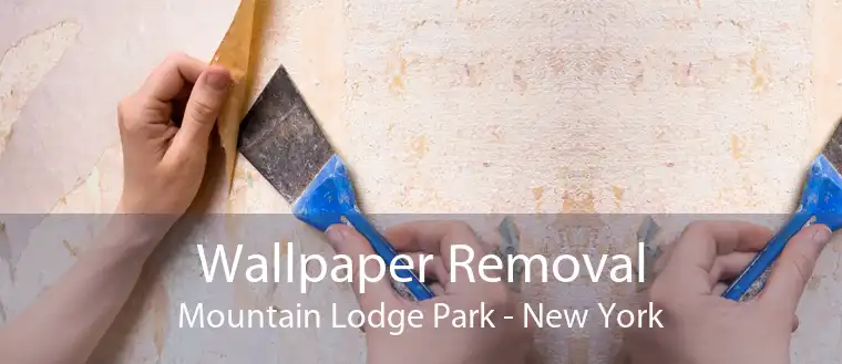 Wallpaper Removal Mountain Lodge Park - New York