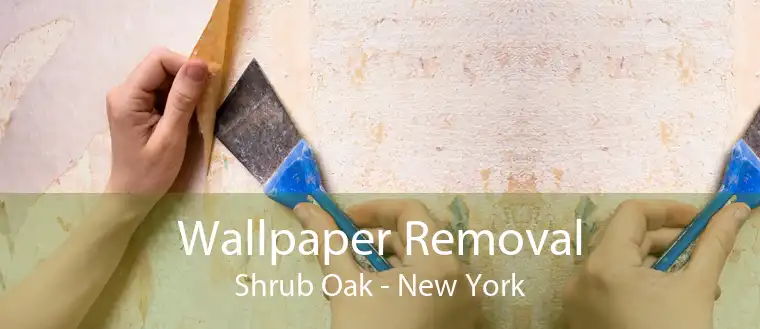 Wallpaper Removal Shrub Oak - New York