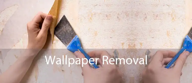 Wallpaper Removal 